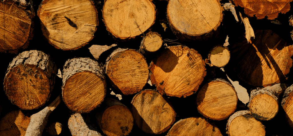 Cómo Elegir Maderas para Muebles en Climas Costeros